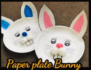خرگوش با بشقاب کاغذی